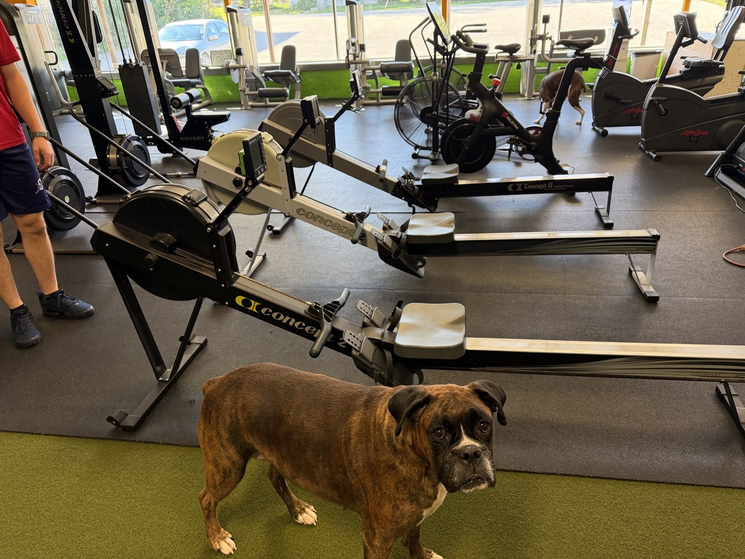 Gym rowing area